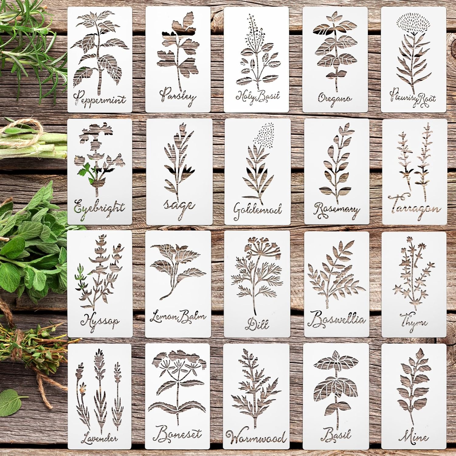 Jecery 20 Pcs Herb Stencils for Craft Plastic Painting Reusable Kitchen Garden Plant Stencils for Crafts Painting Art for DIY Scrapbook Wall Floor Home Decor (5.91 x 3 Inches)
